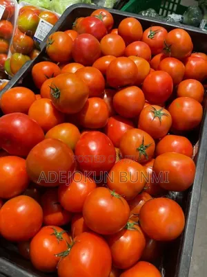 Fresh Pepper, Tomatoes,