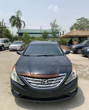 Hyundai Sonata 2014 Blue