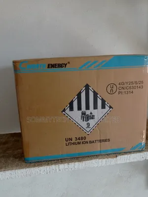 100ah _12v Cworth Luthiun Ion Battery