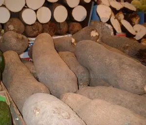 Yam Tubers