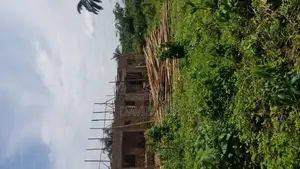 Plot of Land Measurong 50by100