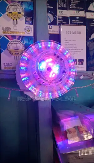 Outdoor Lights