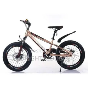 Children Bicycle Size 20 Age 8 to 13