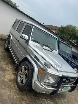 Mercedes-Benz G-Class 2008 Gray