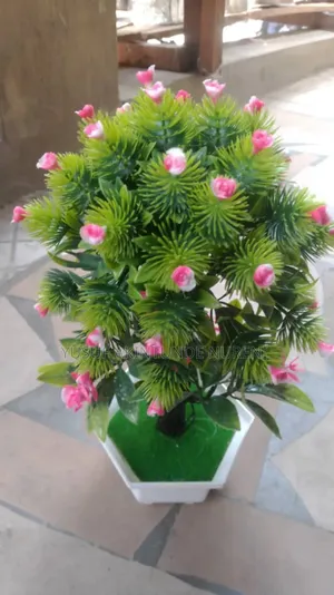 Home Designer Flowers