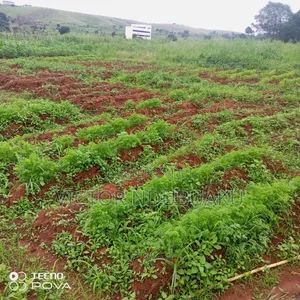 Complete 2 Plots of Land for Sale at Agbani Nsukka
