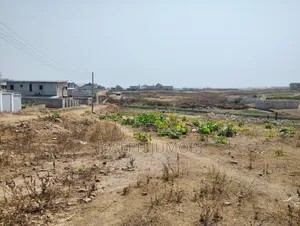 Estate Plot
