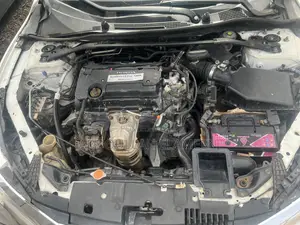 Honda Accord 2013 White