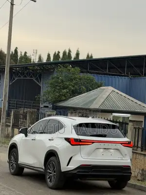 Lexus NX 2023 White
