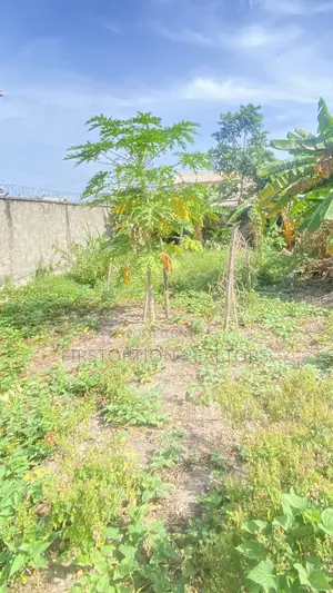 300sqm Land For Sale At Kings Gardens Behind Happyland Olokonla