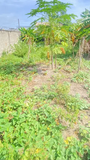 300sqm Land For Sale At Kings Gardens Behind Happyland Olokonla