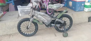 Size 16 Children Bicycle for Age 6 to 10