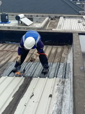 Impel Roof Waterproofing Expert