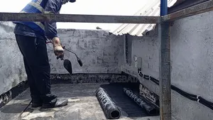 Entreat Roof Waterproofing Expert