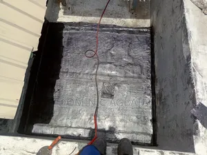 Caprice Roof Waterproofing Professional