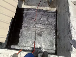 Caprice Roof Waterproofing Professional