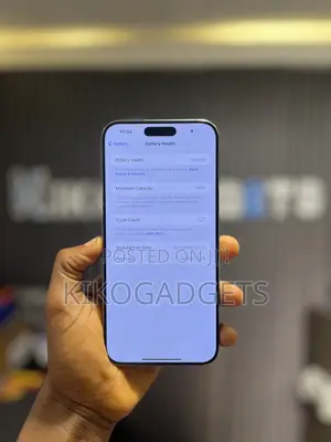 Apple iPhone 15 Pro Max 256 GB Silver