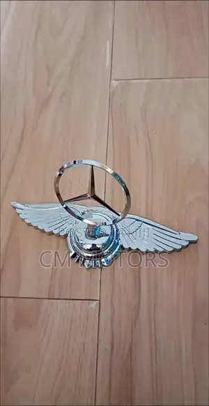 Mercedes Benz Luxury Front Logo