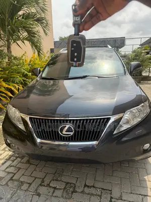 Lexus RX 2011 Gray
