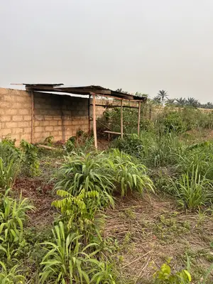 4 Plots of Land at Old Umuahia