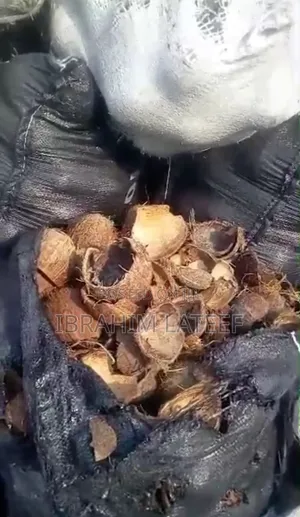 Coconut Shell Charcoal