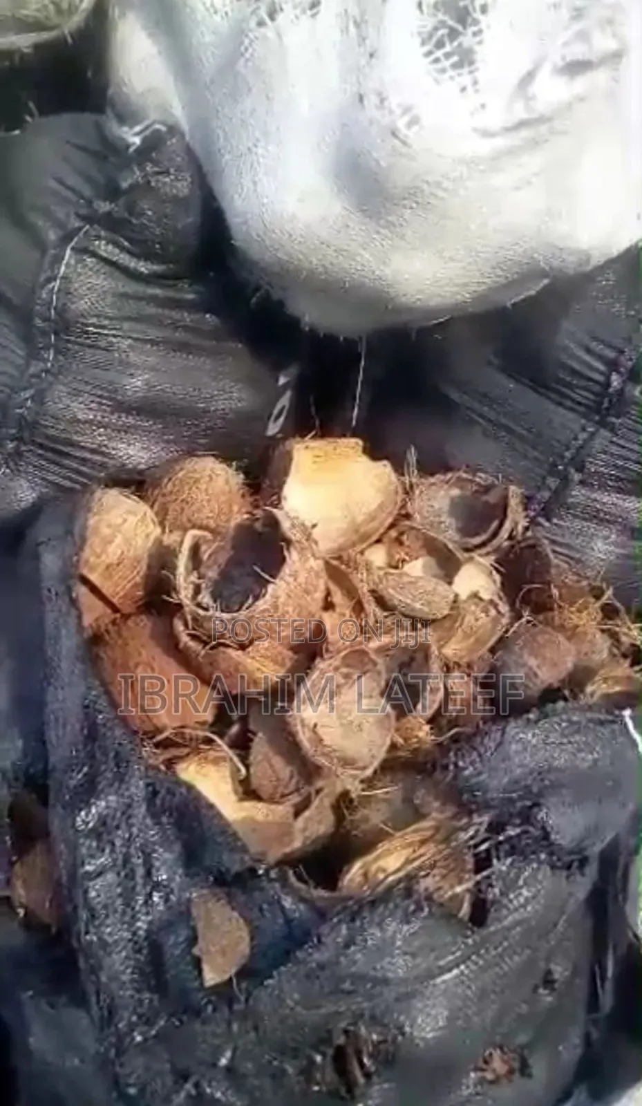 Coconut Shell Charcoal