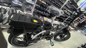 Brand New High Powered Electric Bike