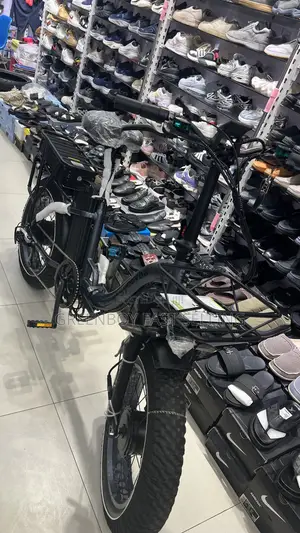 Brand New High Powered Electric Bike
