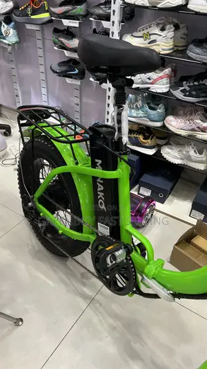 Brand New Electric Bike