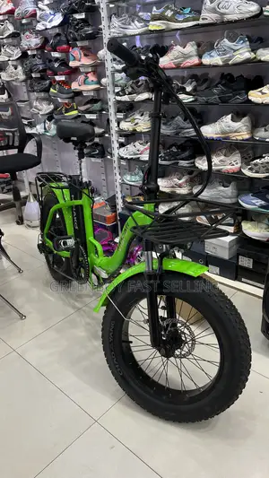 Brand New Electric Bike