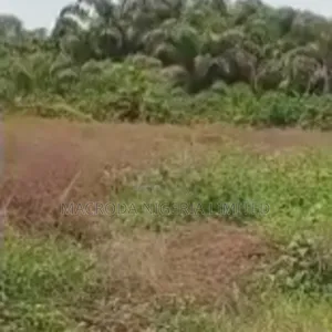 Land Measuring 1000sqm Available