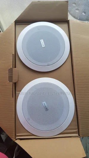 2in1 Bluetooth Ceiling Speaker