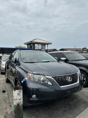 Lexus RX 350 2010 Gray