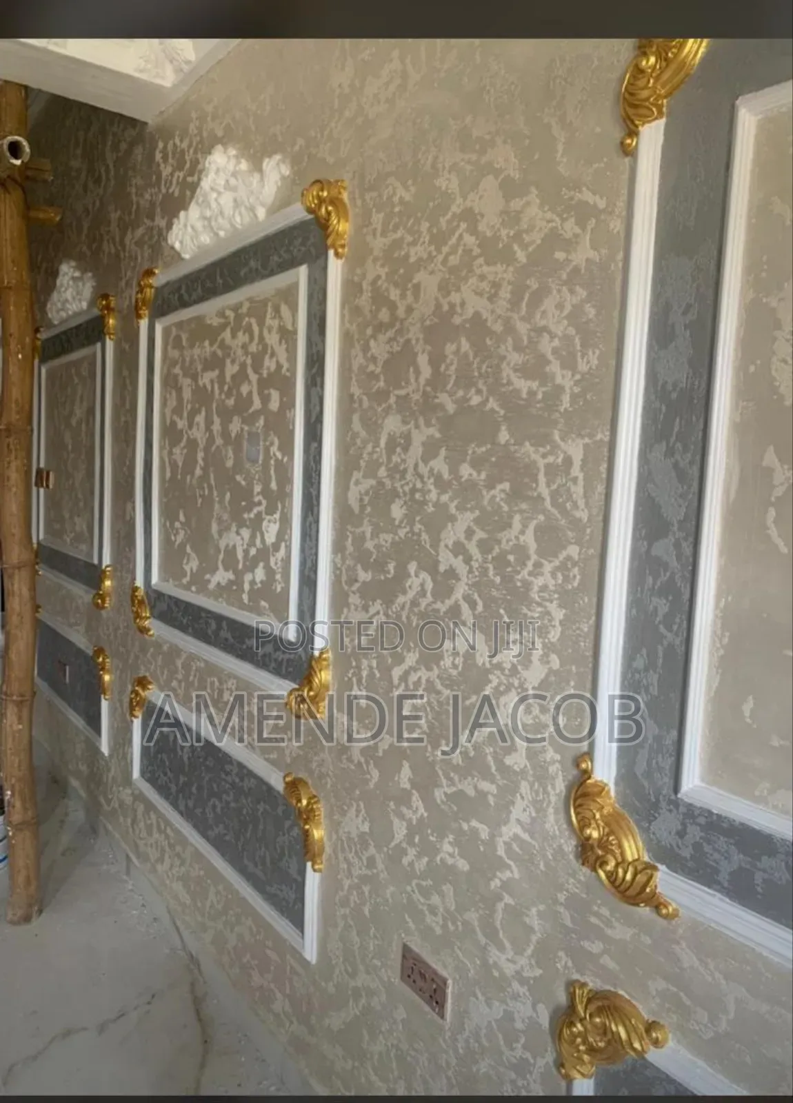 A Professional Painter