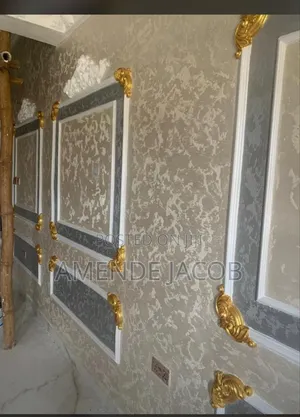 A Professional Painter