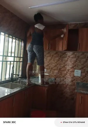 Cleaning Service