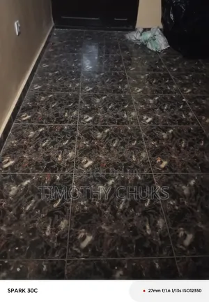 Cleaning Service