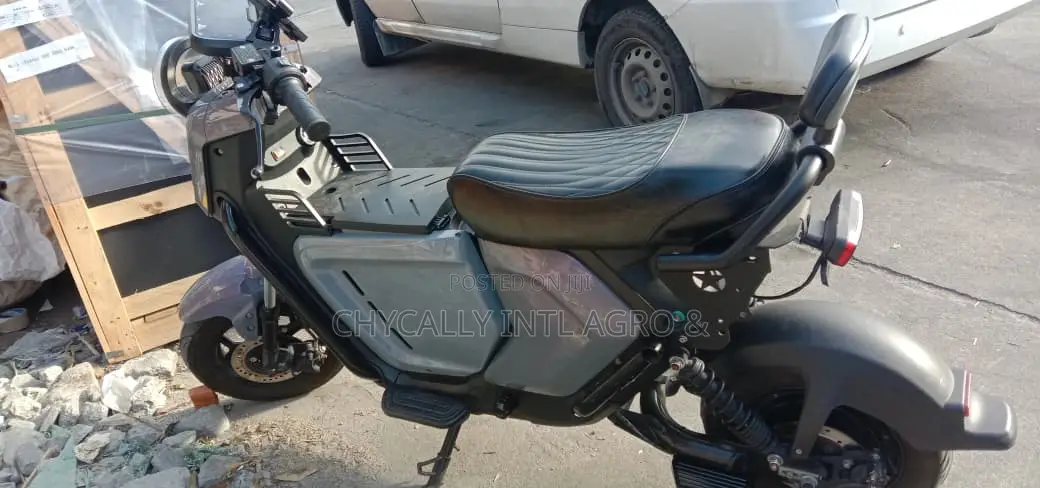New Motorcycle 2024 Gray