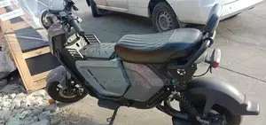 New Motorcycle 2024 Gray
