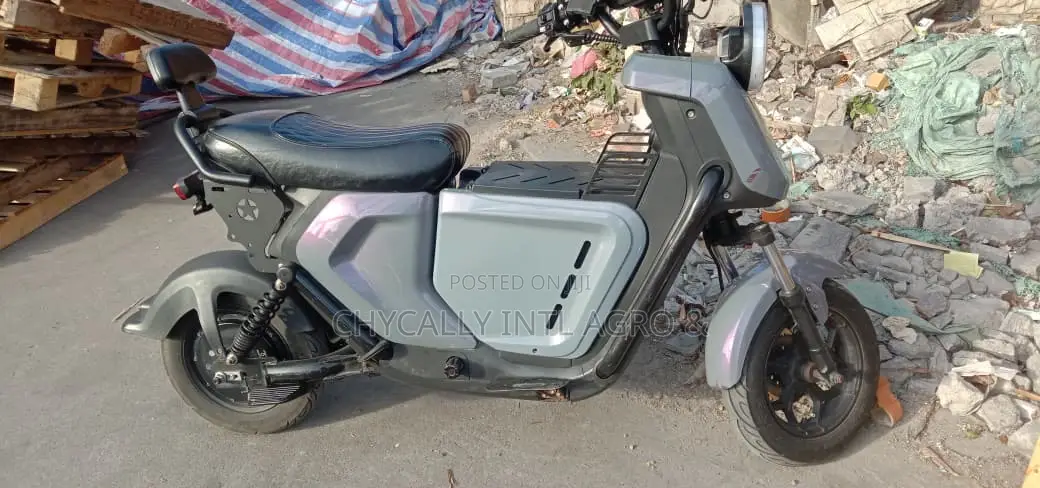 New Motorcycle 2024 Gray