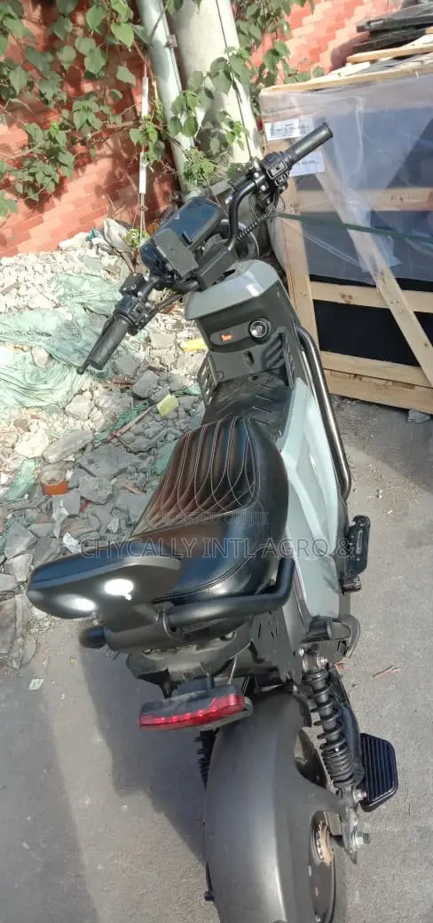 New Motorcycle 2024 Gray
