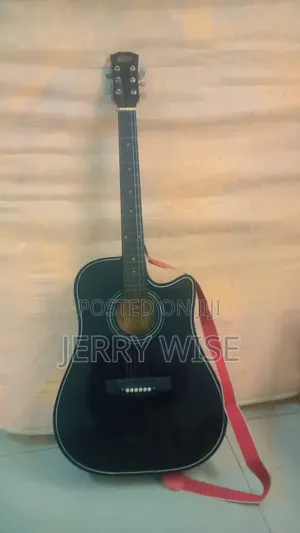Few Months Used Acoustic Guitar