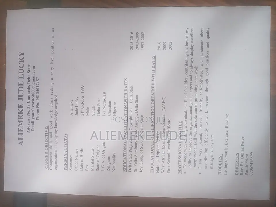 Curriculum Vitae Aliemeke Jude Lucky