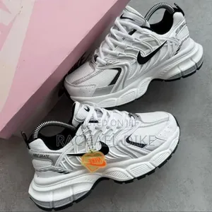 Nike Skate Sneakers