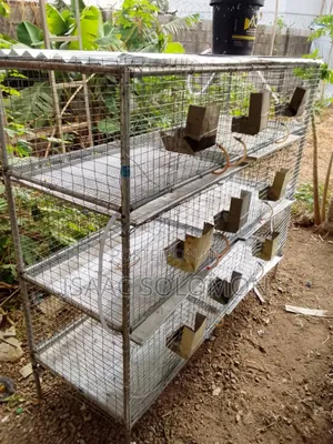 Rabbit Cage, Feeders and Drinkers