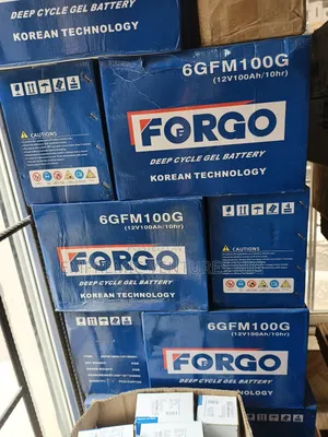 6gfm100g,12v100ah/10hr Forgo Battery