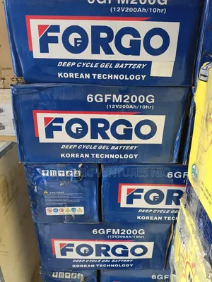 Forgo Battery 6gfm200g,12v200ah)10hr