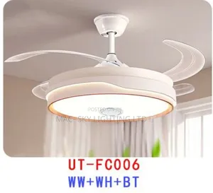 Fan Chandelier Light