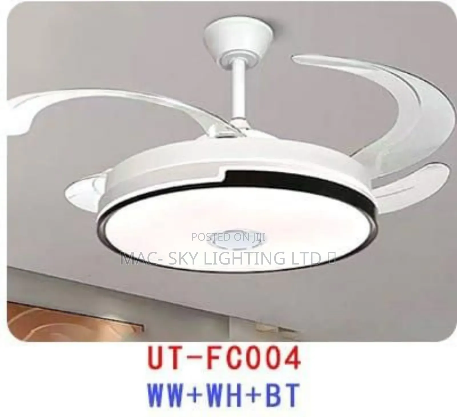 Fan Chandelier Light