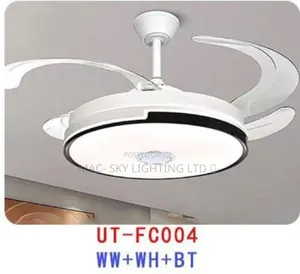 Fan Chandelier Light